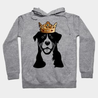 Greater Swiss Mountain Dog King Queen Wearing Crown Hoodie